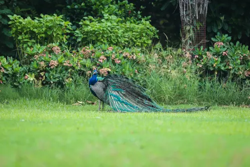 WelcomHeritage Bal Samand Lake Palace - Other Facilities - Others 20